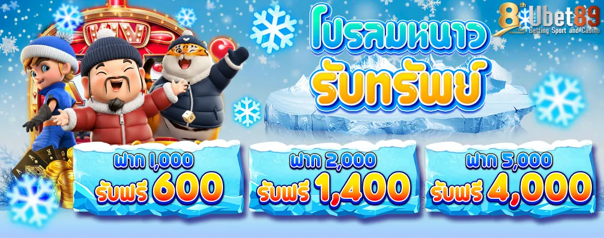 โปรลมหนาว 89-1200 (2)